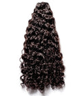 Raw Vietnamese Curly Bundles