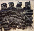 Dolly Luxe 4 Bundle Deals